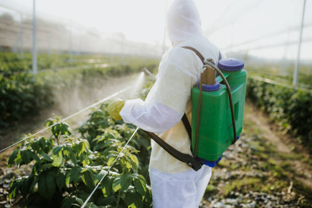 Best Cockroach Control Services  in Wainaku, HI